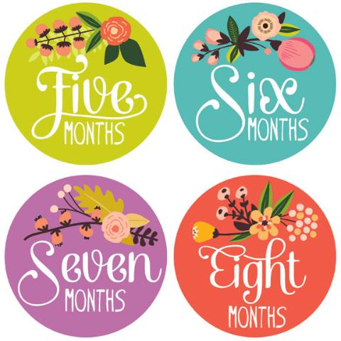 Monthly Stickers/Calcamonias - Flores