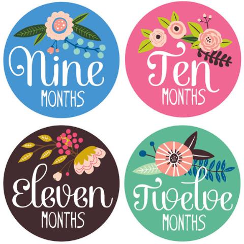 Monthly Stickers/Calcamonias - Flores